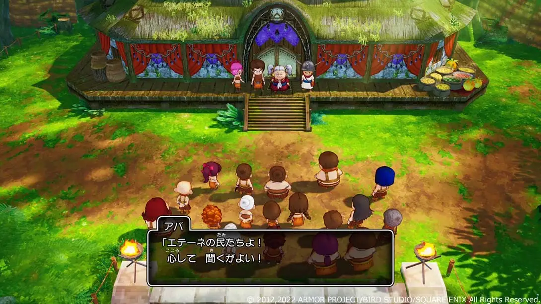 图片[1]-[Switch]勇者斗恶龙10 觉醒的五种族 .Dragon Quest X-梦境潮玩-mjcw