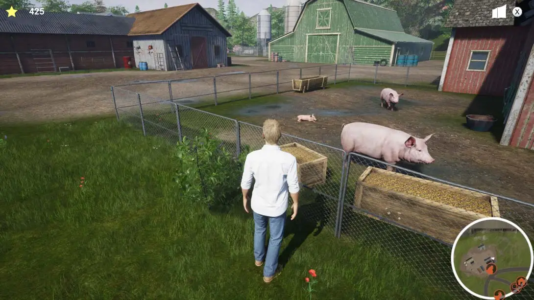 图片[1]-[Switch]我的生活:农场兽医 My Life: Farm Vet-梦境潮玩-mjcw