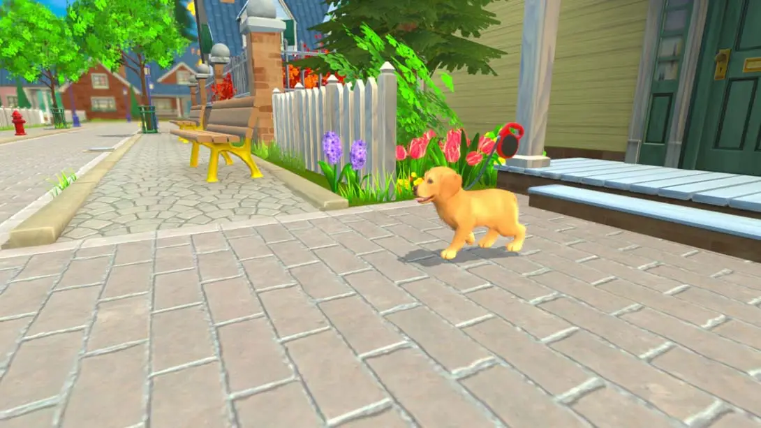 图片[1]-[Switch]我的领域：小猫小狗 My Universe – Puppies and Kittens-梦境潮玩-mjcw