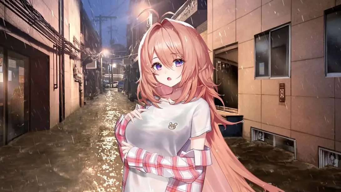 [Switch]爱的传递&爱在登入 .Love Delivery and Love in Login-梦境潮玩-mjcw