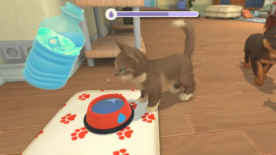 [Switch]我的领域：小猫小狗 My Universe – Puppies and Kittens-梦境潮玩-mjcw