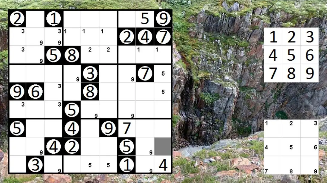 [Switch]Logic Puzzle Collection: Sudoku – Permudoku – Nonodoku-梦境潮玩-mjcw