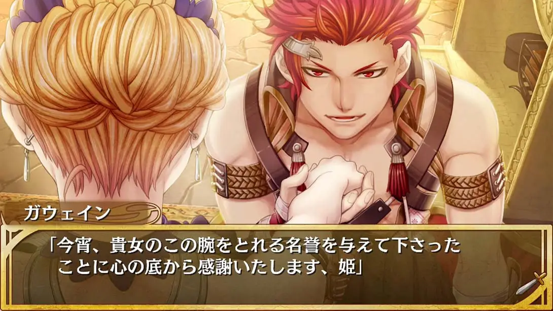 [Switch]亚瑟公主 .Princess Arthur for Nintendo Switch-梦境潮玩-mjcw