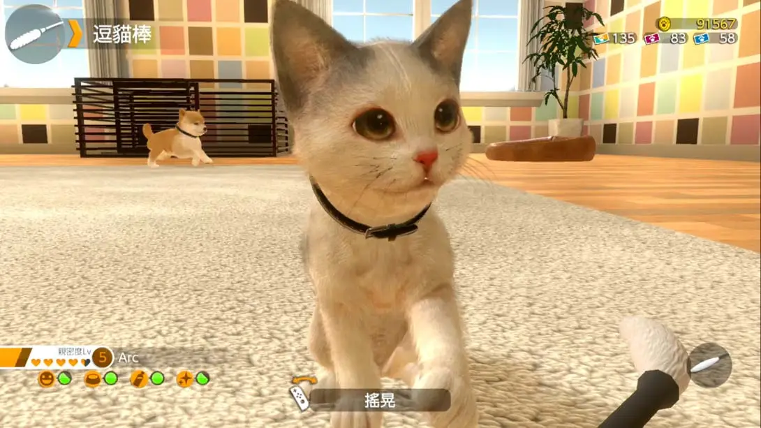 [Switch]小小伙伴：狗狗与猫猫.LITTLE FRIENDS -DOGS & CATS--梦境潮玩-mjcw